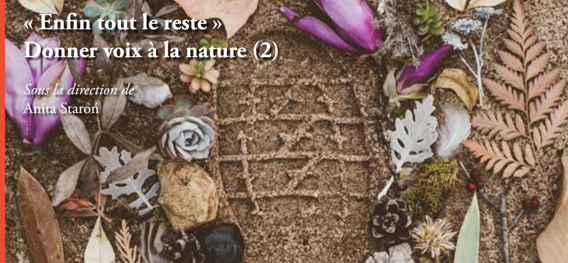 Revue Babel. Littératures plurielles #52